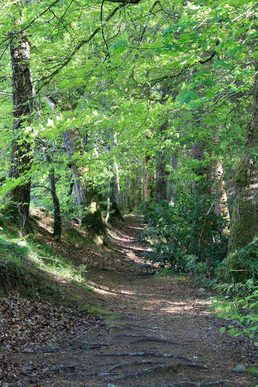 Craik Na Dav B&B Invermoriston Εξωτερικό φωτογραφία