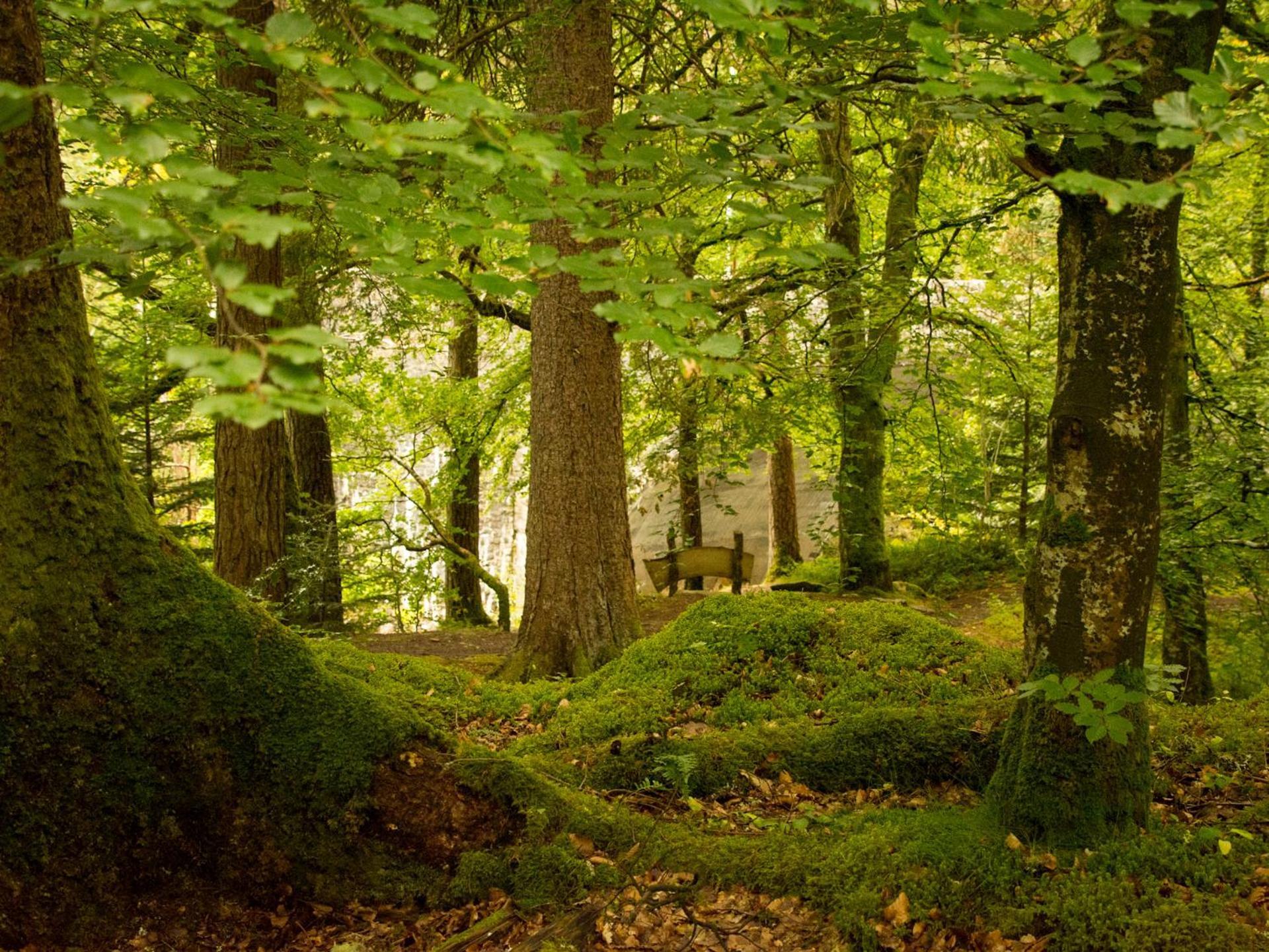 Craik Na Dav B&B Invermoriston Εξωτερικό φωτογραφία